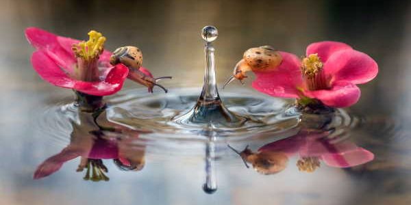 ALBERTO GHIZZI – BROZZI