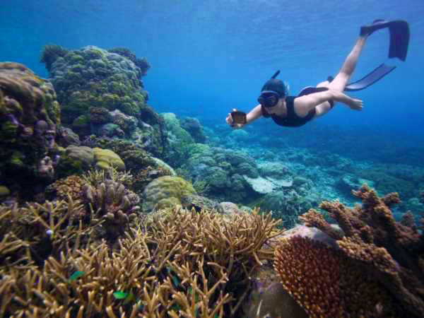 FE-FOTO SUB generica