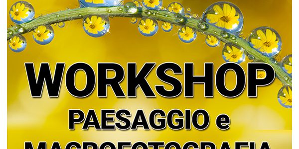 Workshop ALBERTO GHIZZI (3)