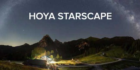 HOYA STARSCAPE (1)