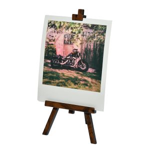 ELITE SELECTION - Cavalletto pittore per stampa Polaroid/Instax