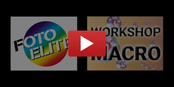 Video – ALBERTO GHIZZI PANIZZA Macro