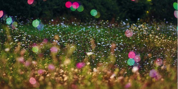 VISIONI – IL GRANDANGOLO