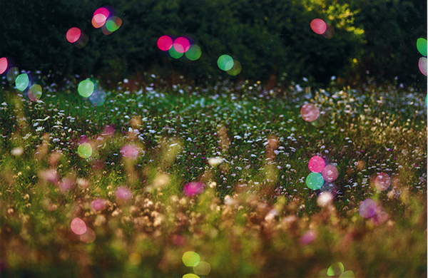 VISIONI – IL GRANDANGOLO