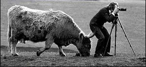 FE-Fotomania-17-11-16