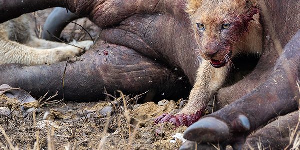 FE-LaFotoPremiata-2019-12-15