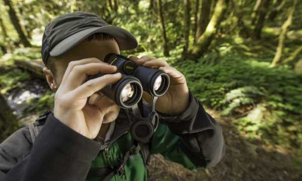 _BINOCOLI FOTO generica 3