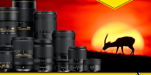 NIKON 10% 14-09-2022