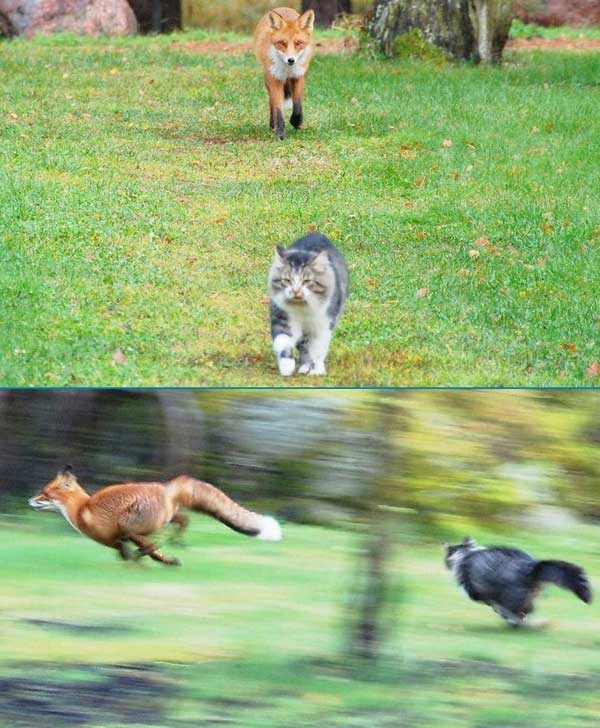 FE-LaFotoCuriosa-2016-09-11