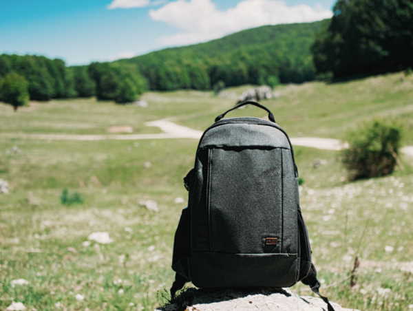 _CASE LOGIC ERA DUAL (2)