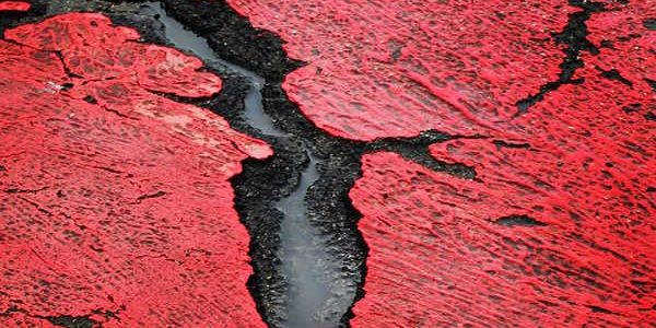 _ANNA MARIA FERRABOSCHI