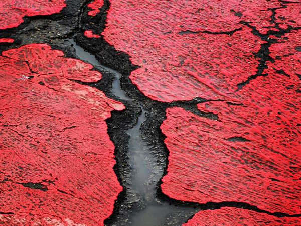 _ANNA MARIA FERRABOSCHI