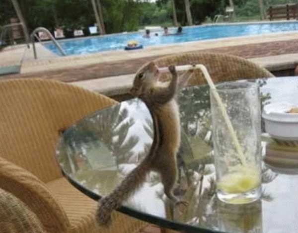 FE-LaFotoCuriosa-2017-04-20