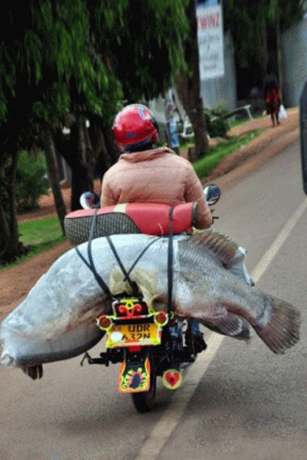 FE-LaFotoCuriosa-2017-05-04