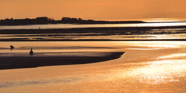 _GIULIANO GIACOPINELLI