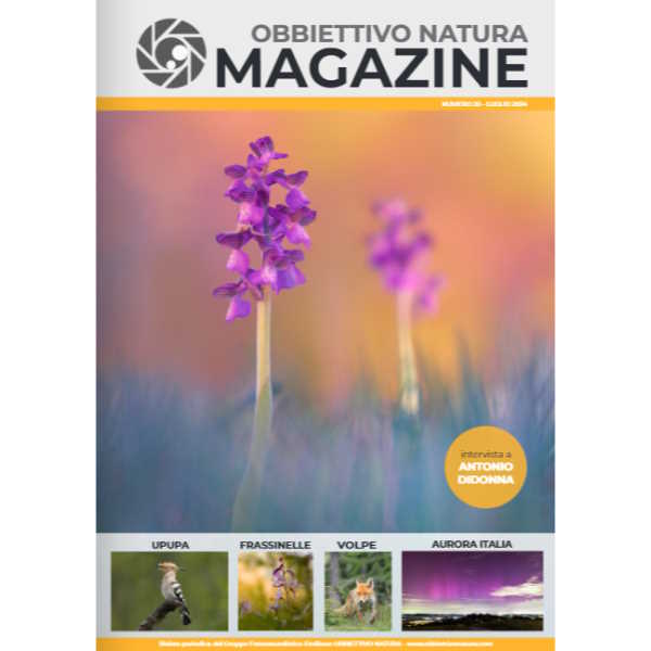 OBBIETTIVO NATURA MAGAZINE<br>n 20