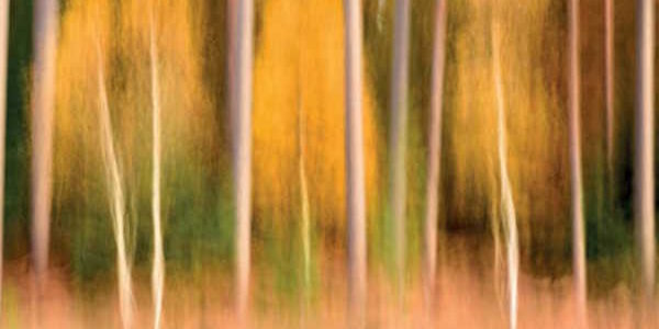 FE-LaParola-2023-11-12