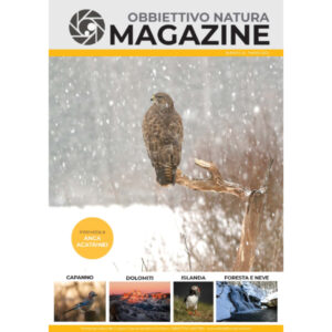 OBBIETTIVO NATURA MAGAZINE<br>n 22