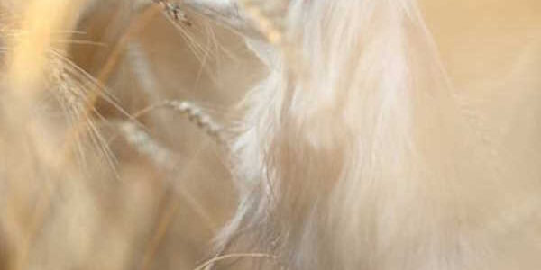 FE-LaFotoPremiata-2021-04-18.