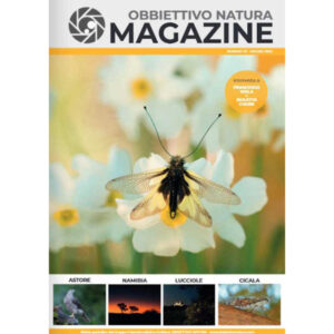 600x600-OBBIETTIVO NATURA n 23 - 07-2025