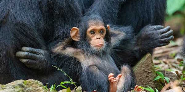 FE-LaFotoPremiata-2021-07-04