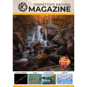 OBBIETTIVO NATURA MAGAZINE<br>n 24