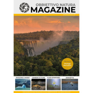OBBIETTIVO NATURA MAGAZINE<br>n 26
