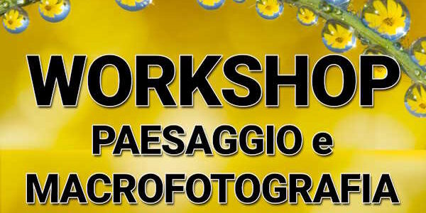 WORKSHOP 04-10-2026 – FEN